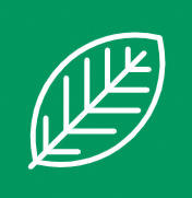烟草行业